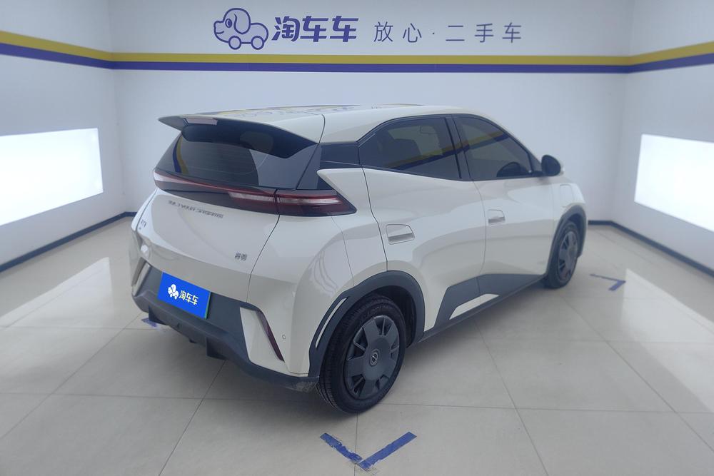 BYD Seagull