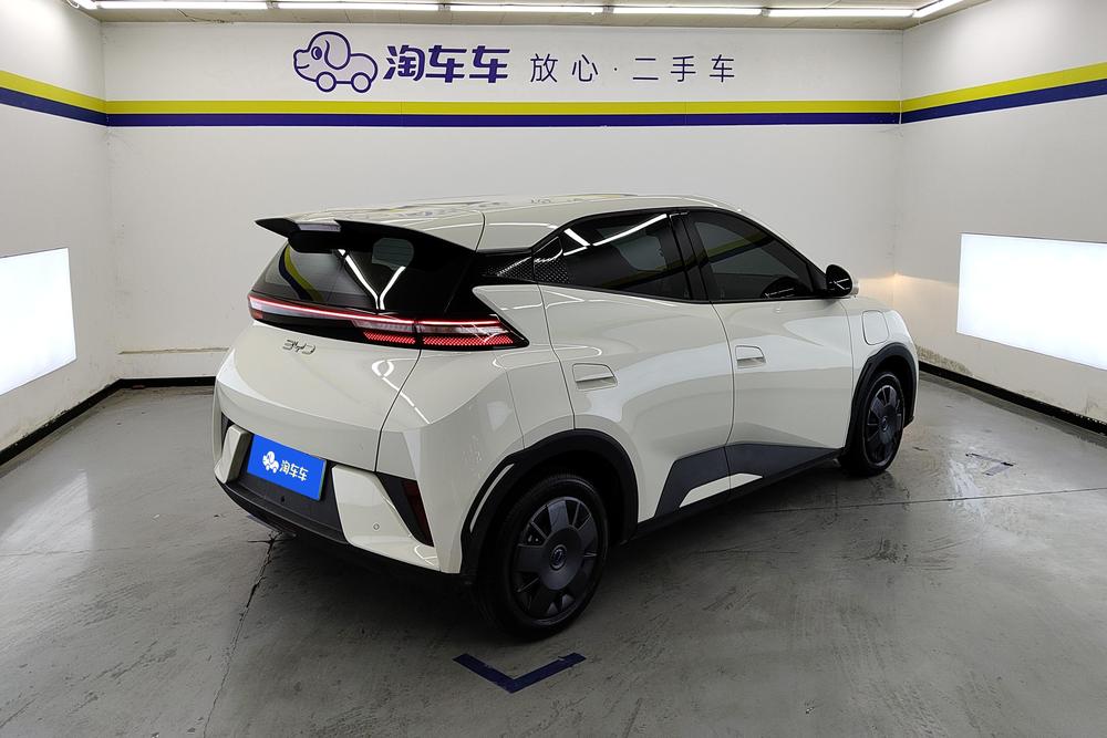 BYD Seagull