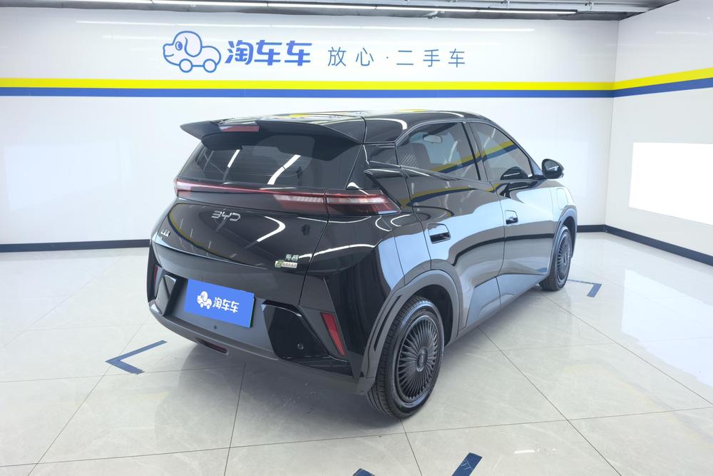 BYD Seagull