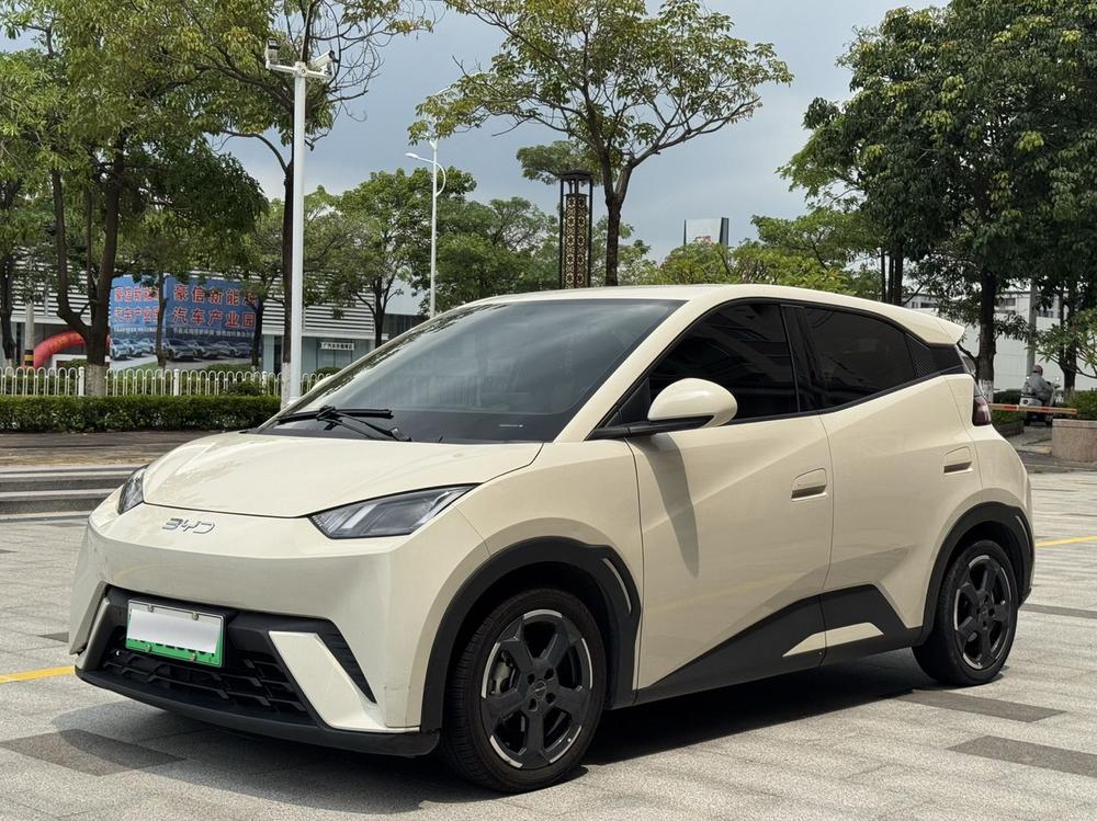 BYD Seagull
