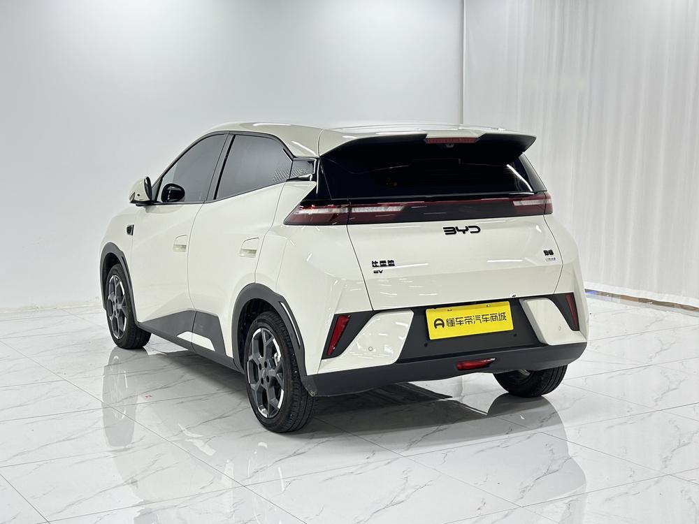 BYD Seagull