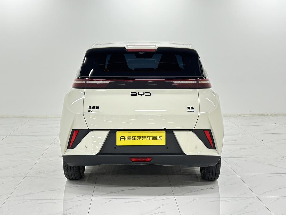 BYD Seagull