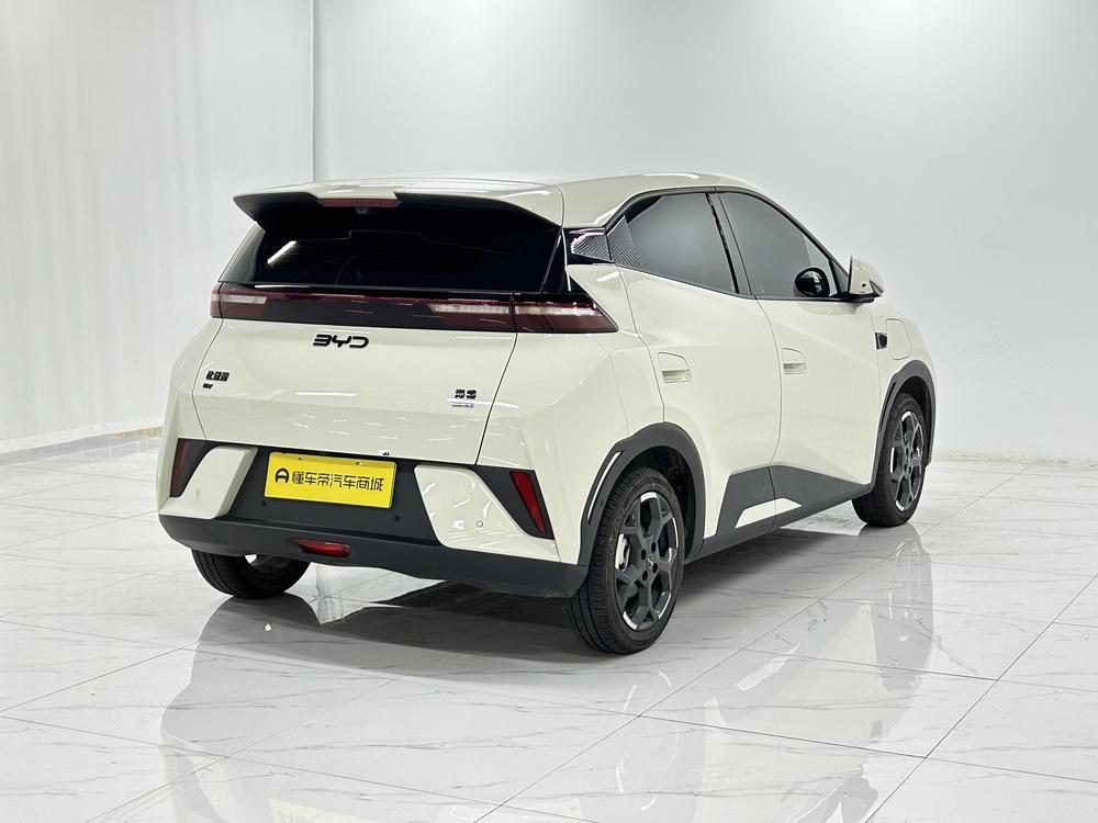 BYD Seagull