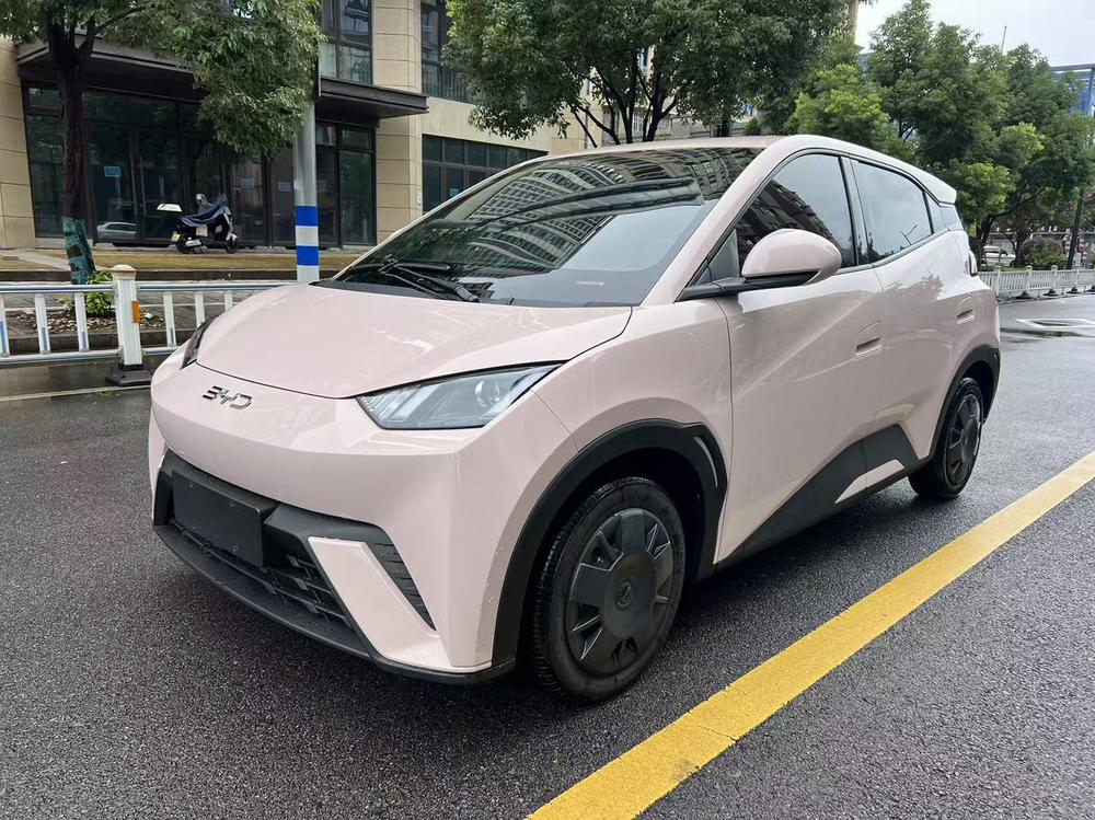 BYD Seagull