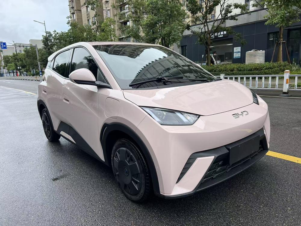 BYD Seagull