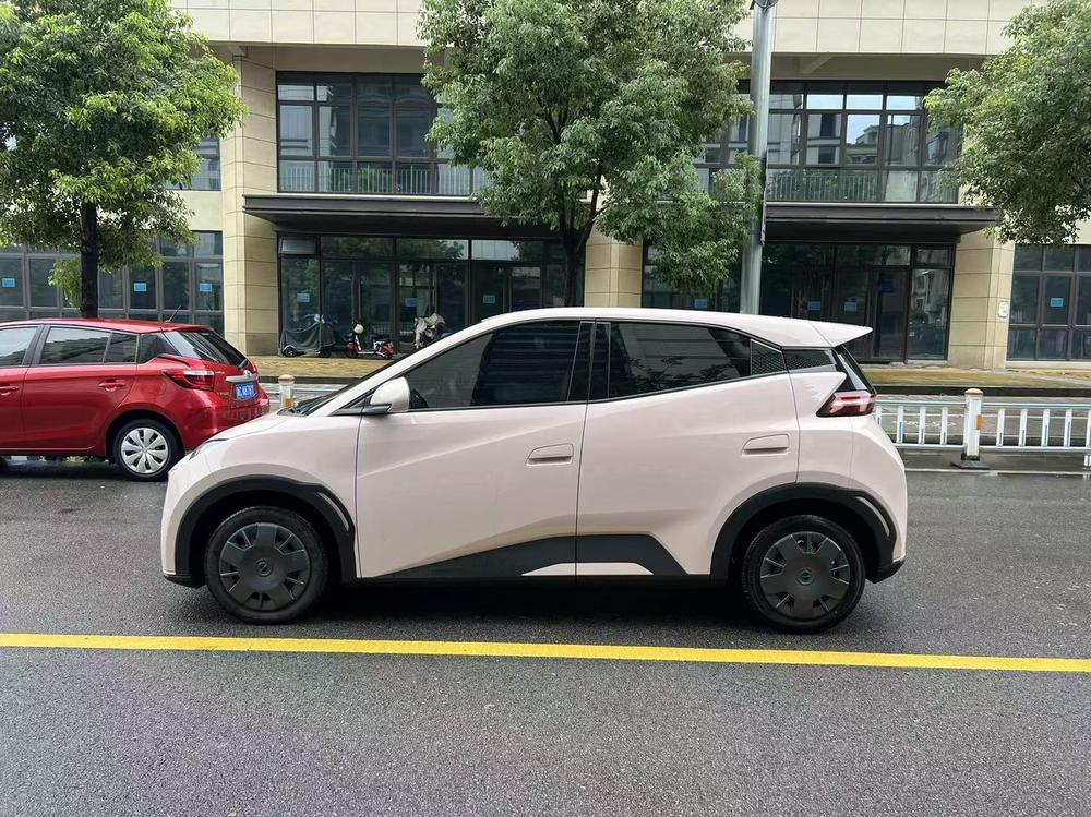 BYD Seagull