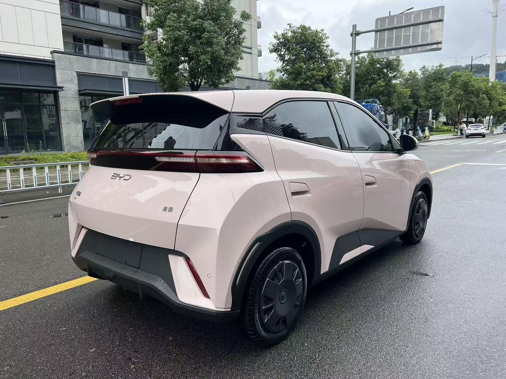 BYD Seagull