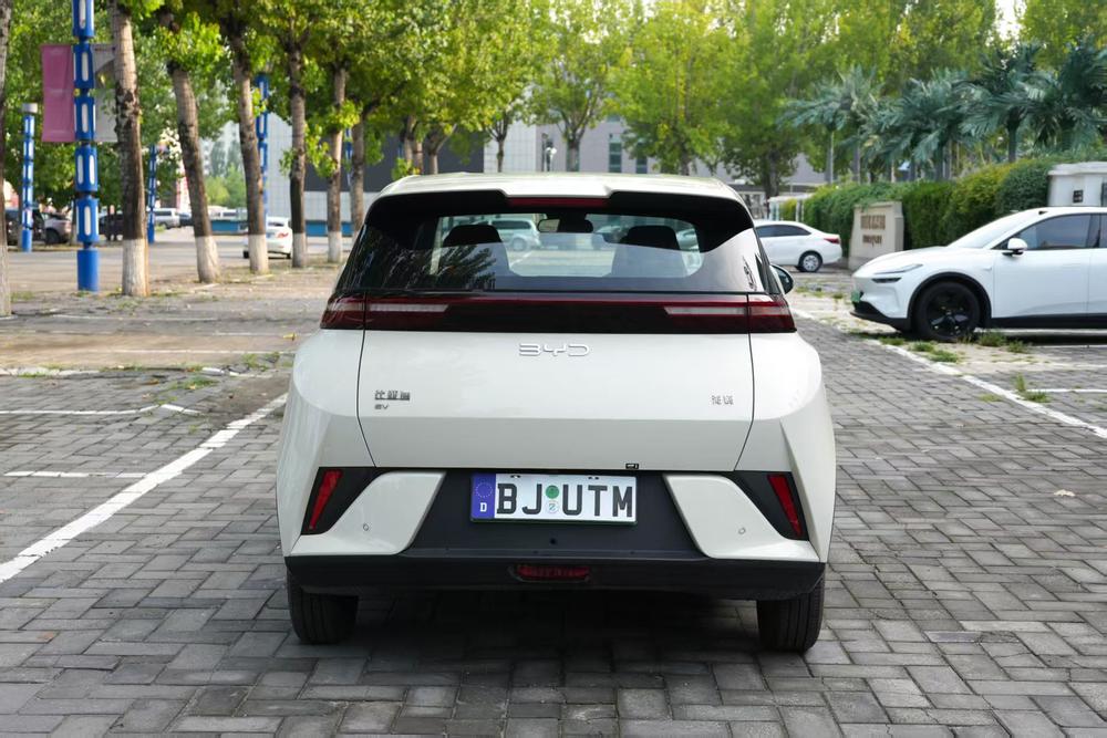 BYD Seagull