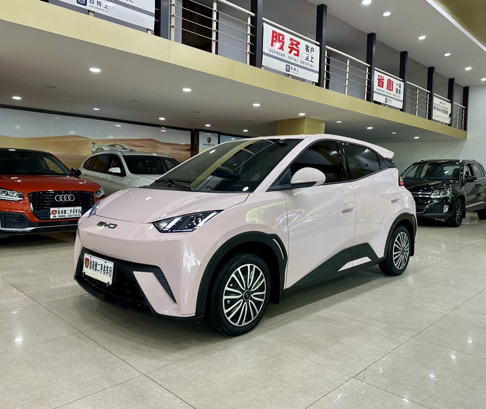 BYD Seagull