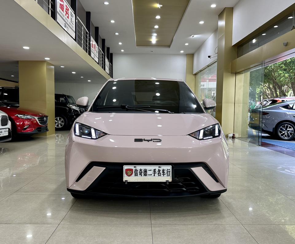 BYD Seagull