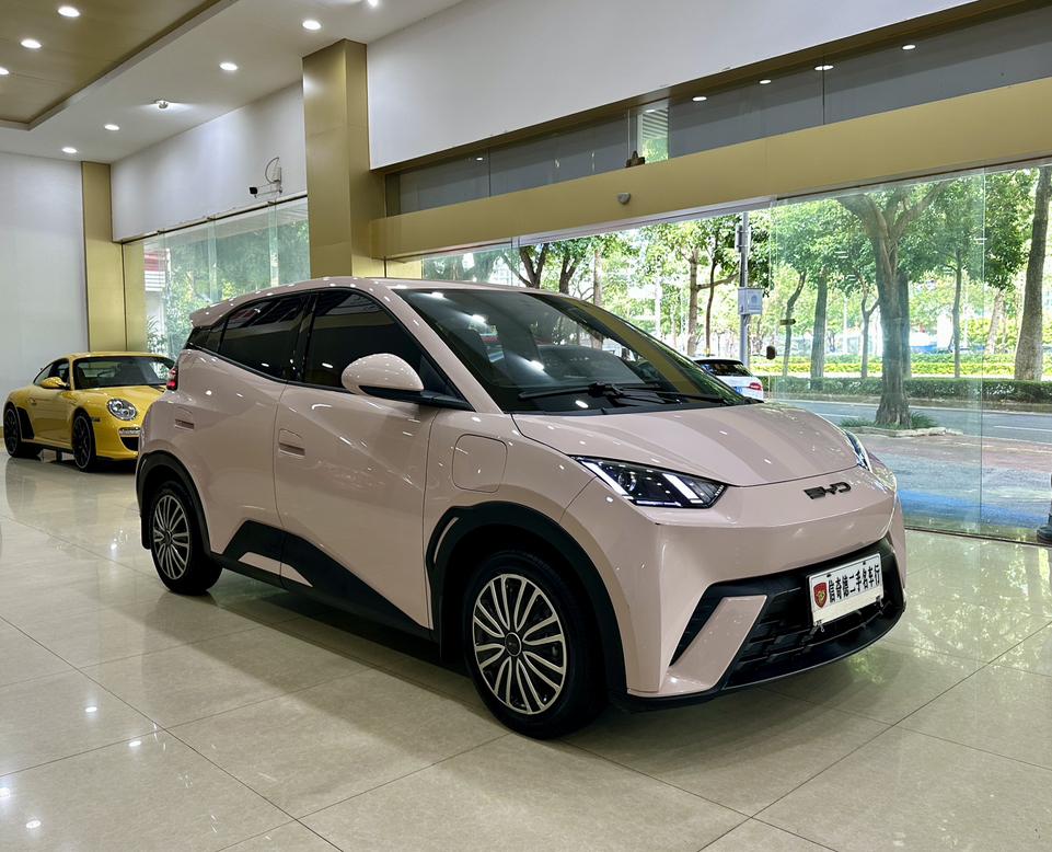 BYD Seagull