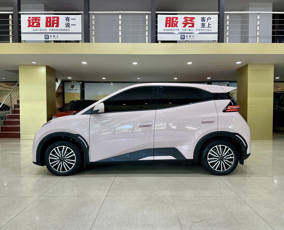 BYD Seagull