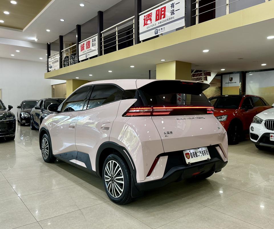 BYD Seagull