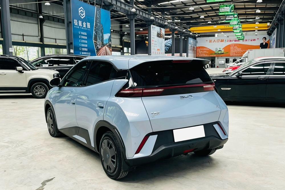 BYD Seagull