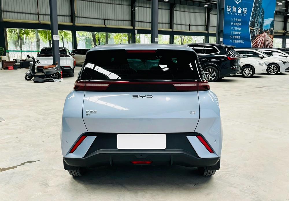 BYD Seagull