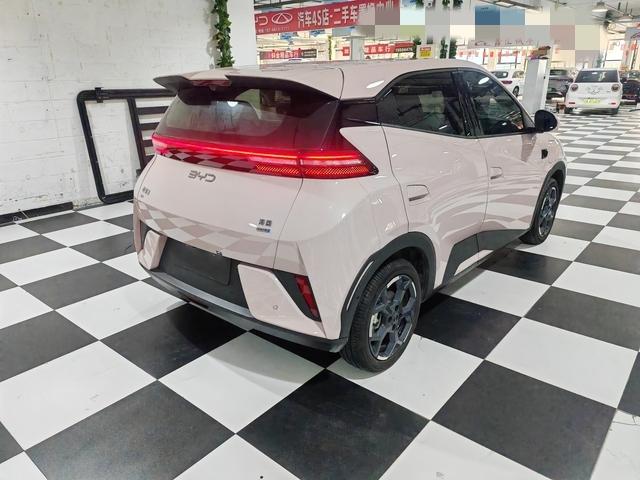 BYD Seagull