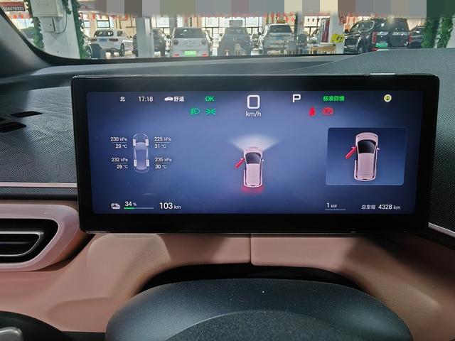BYD Seagull