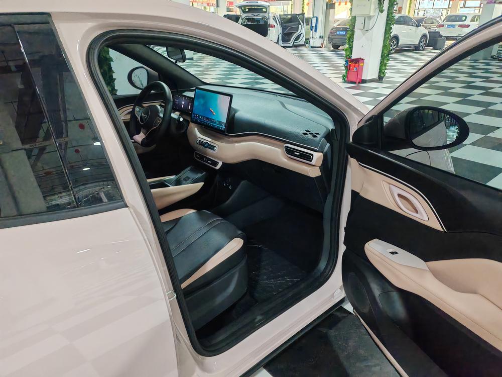 BYD Seagull