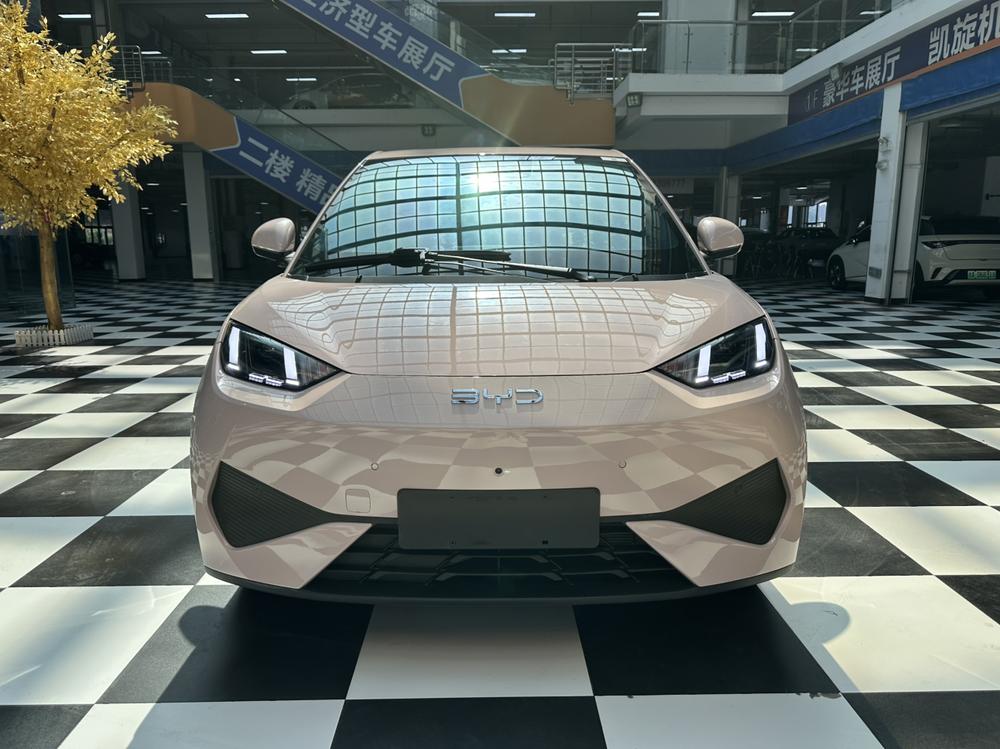 BYD Seagull