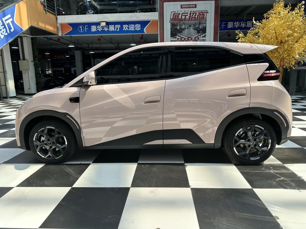 BYD Seagull