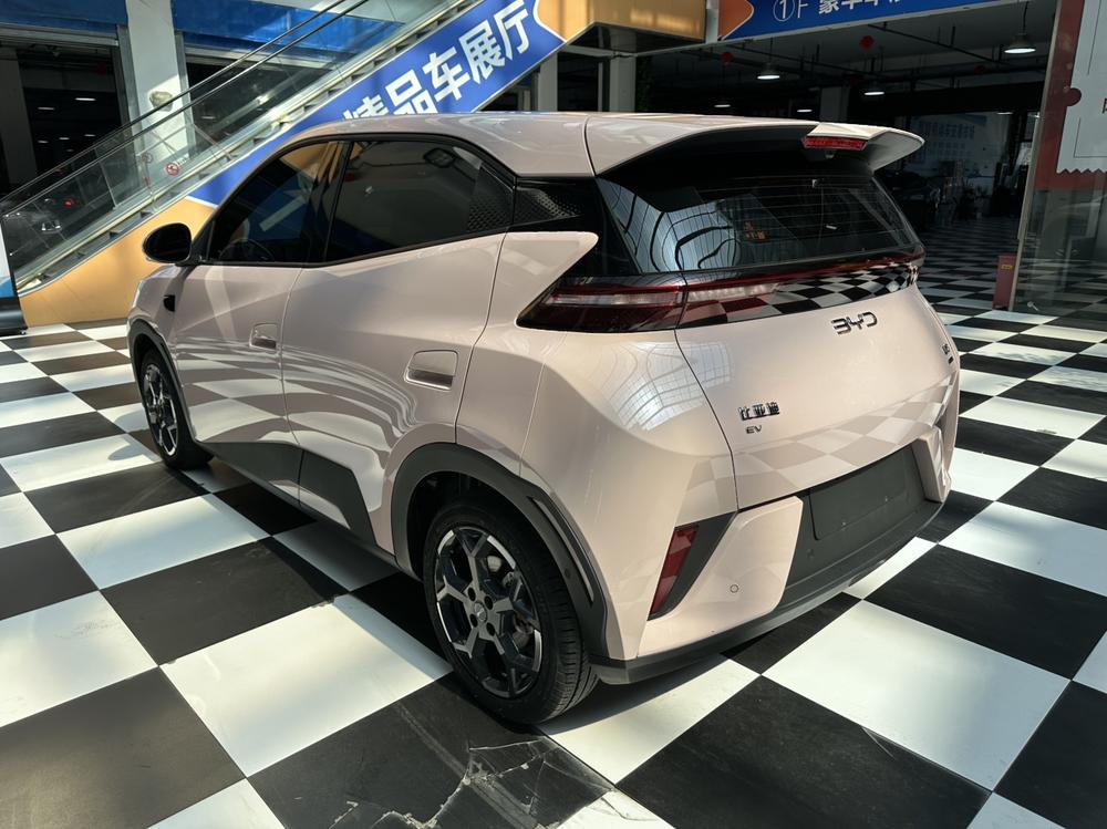 BYD Seagull