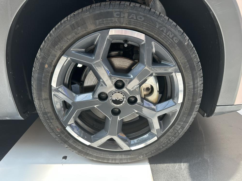 BYD Seagull