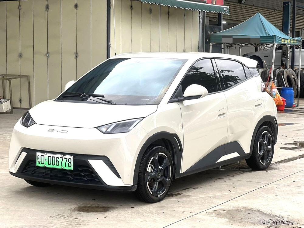 BYD Seagull