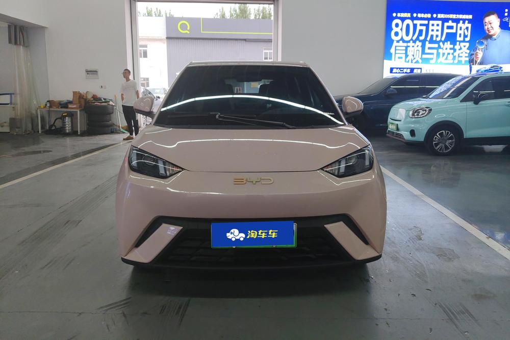BYD Seagull