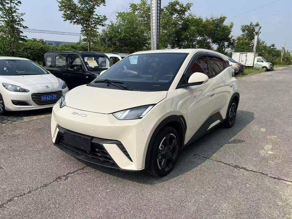 BYD Seagull