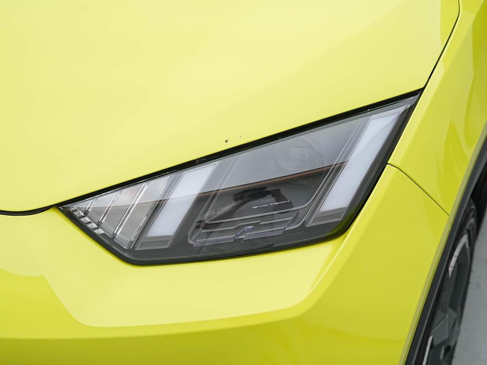 BYD Seagull