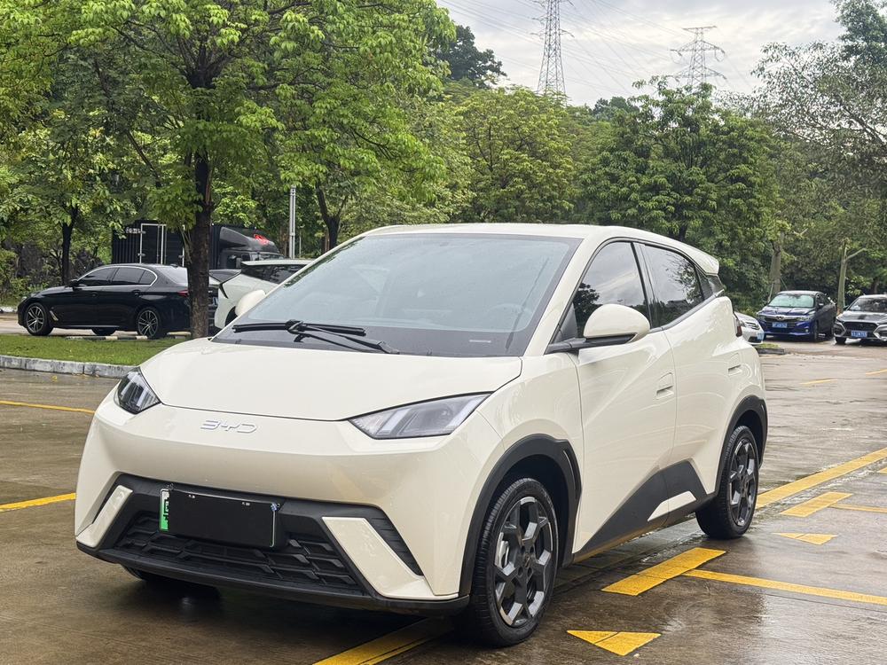 BYD Seagull