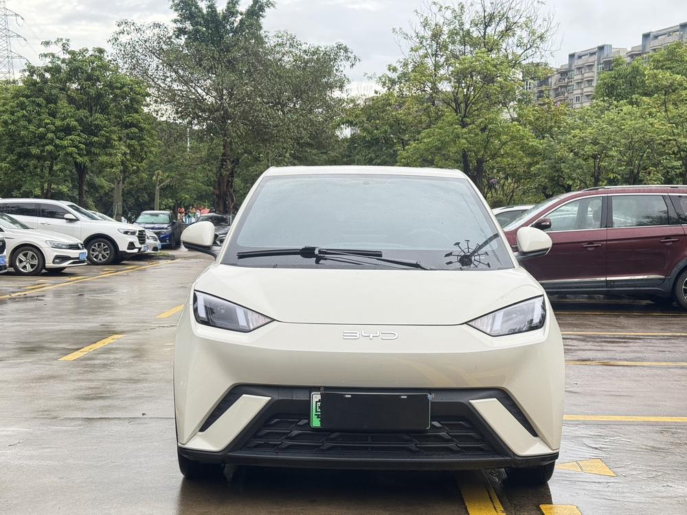 BYD Seagull