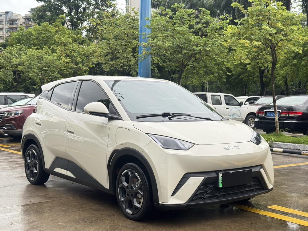 BYD Seagull
