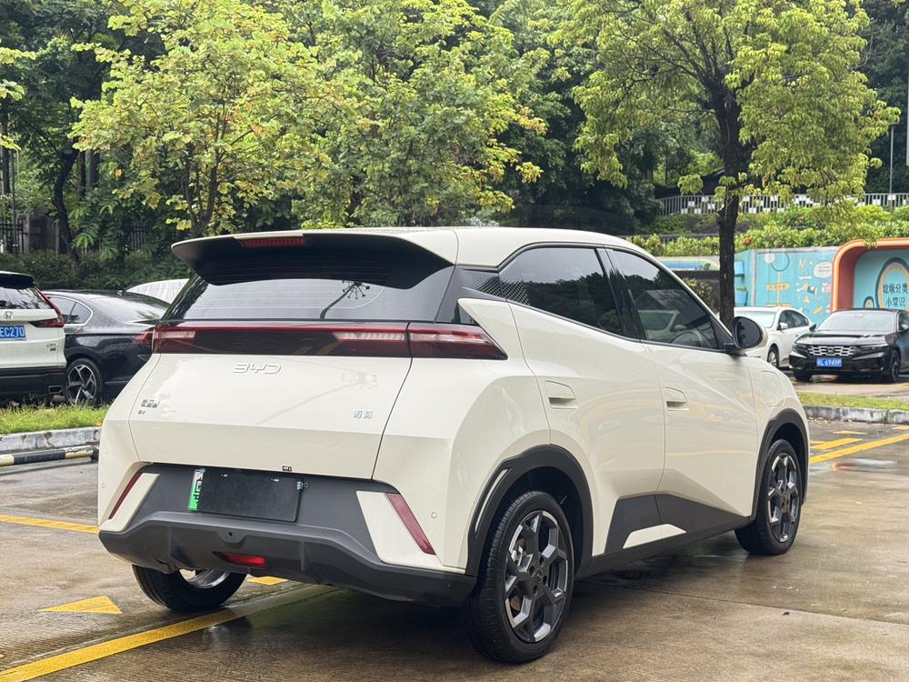 BYD Seagull
