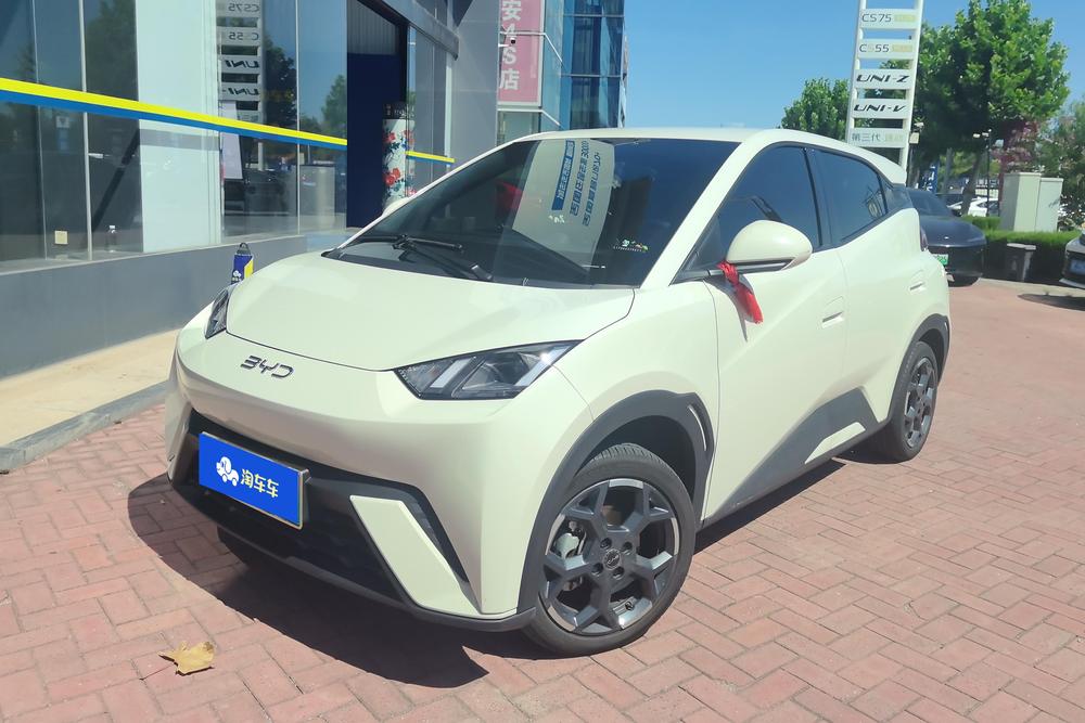 BYD Seagull