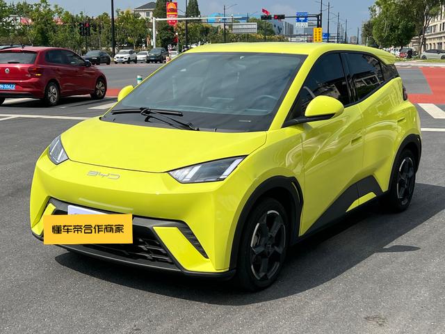 BYD Seagull