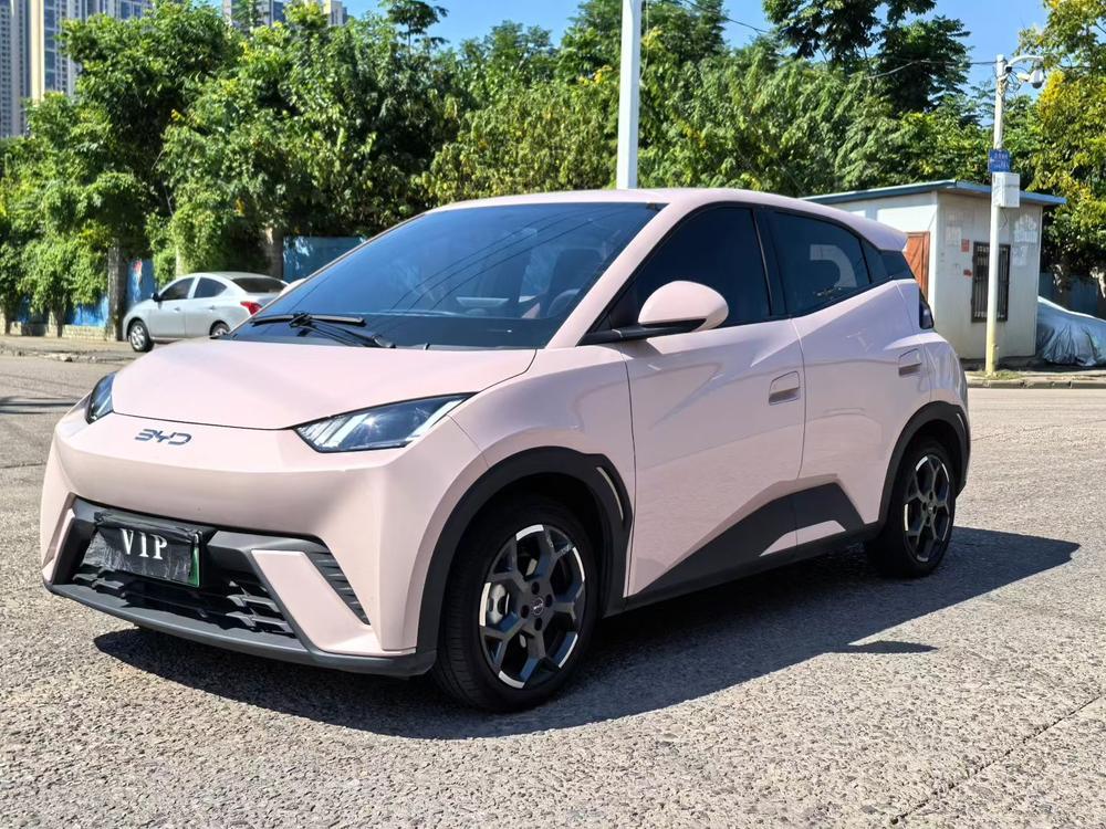 BYD Seagull