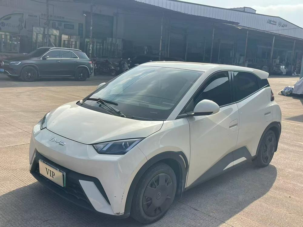 BYD Seagull