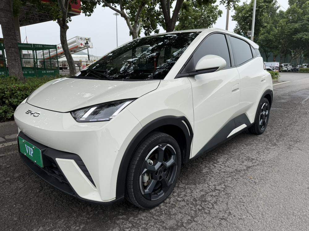 BYD Seagull