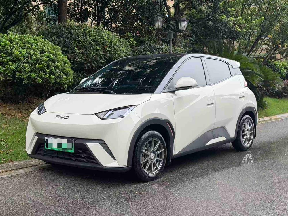 BYD Seagull