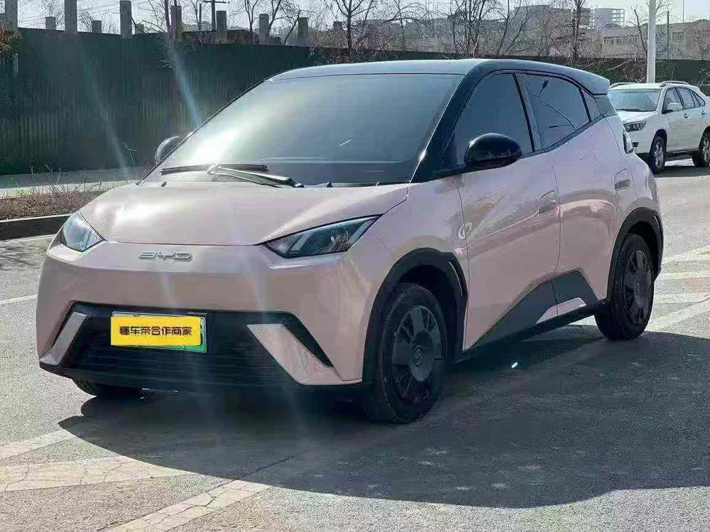 BYD Seagull