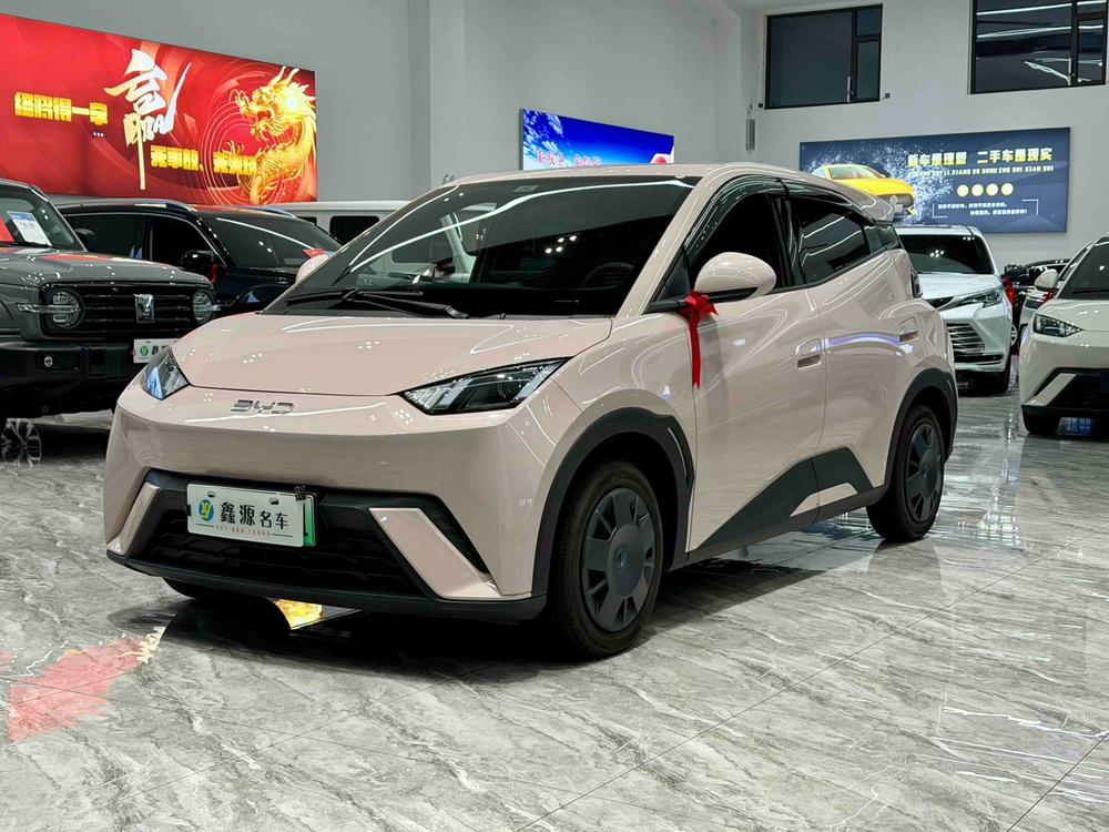 BYD Seagull