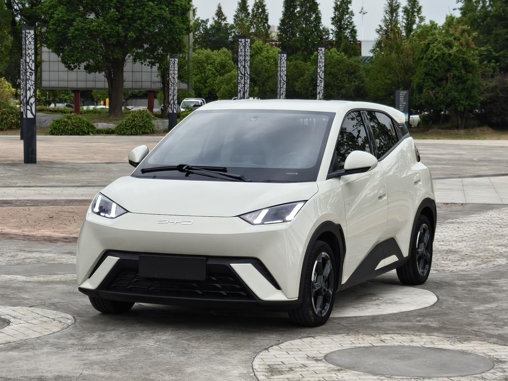 BYD Seagull