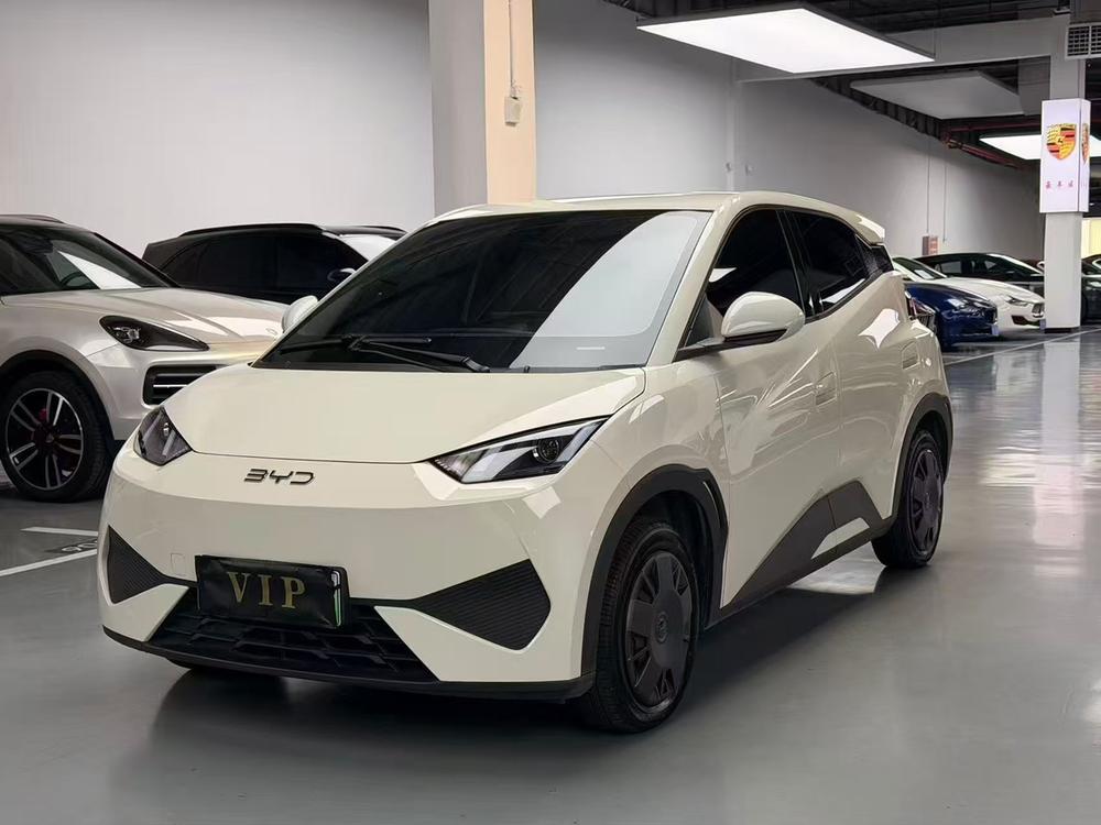 BYD Seagull