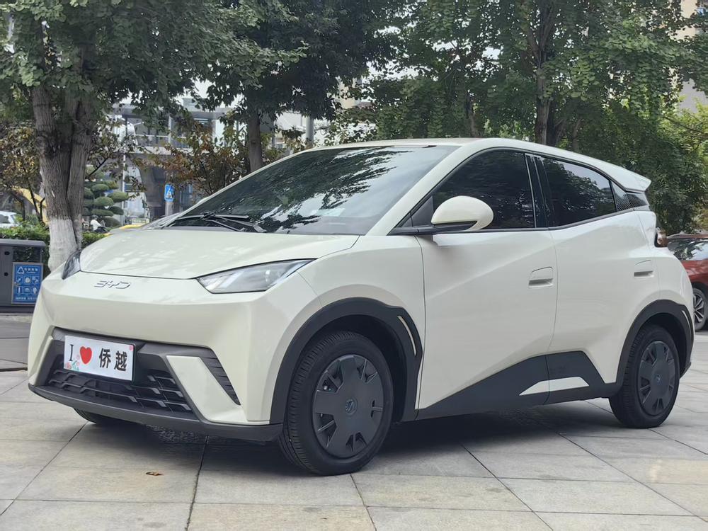 BYD Seagull
