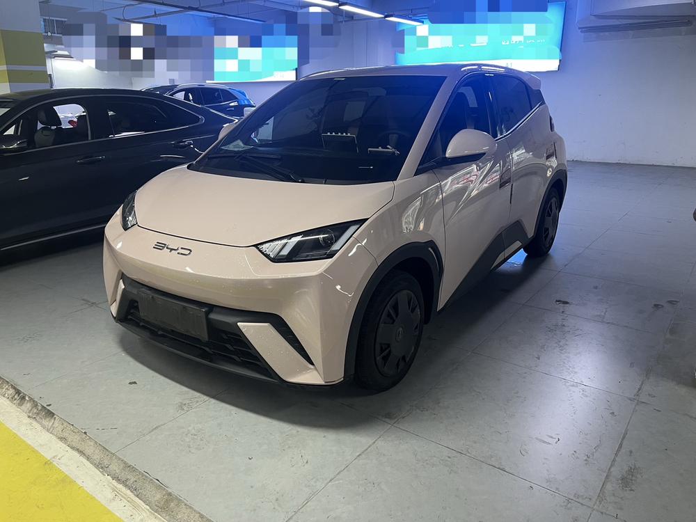 BYD Seagull