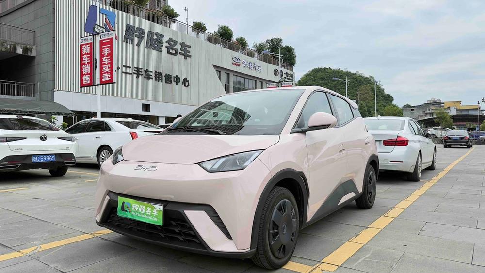 BYD Seagull