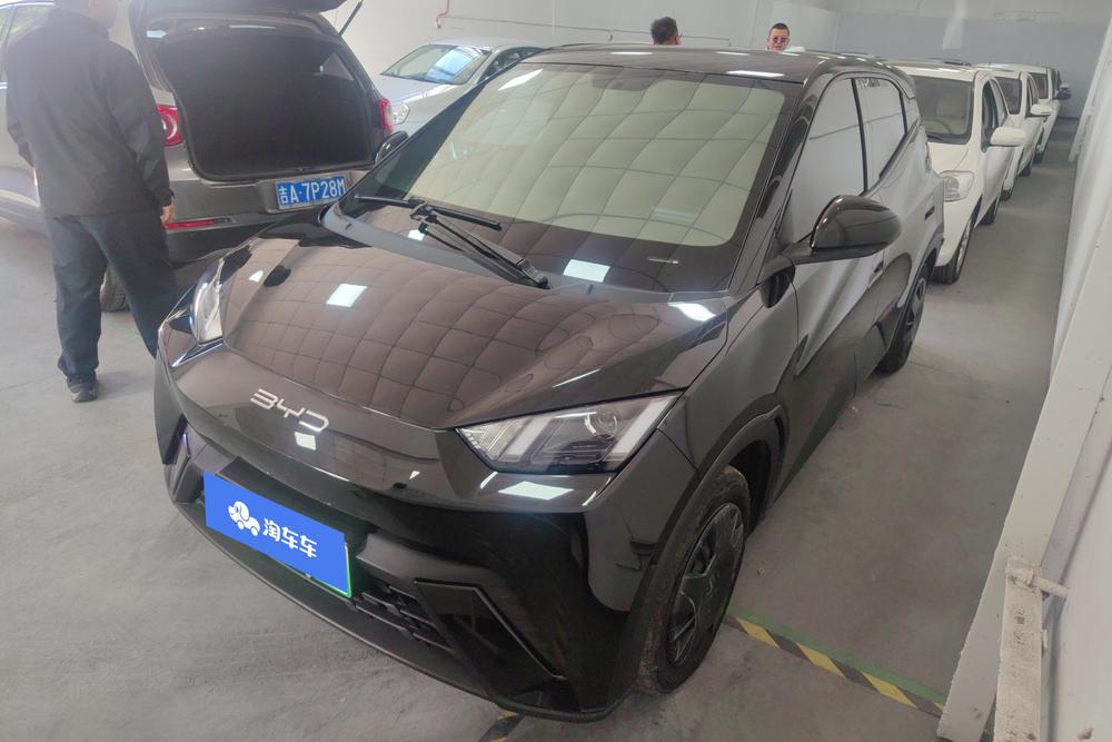 BYD Seagull