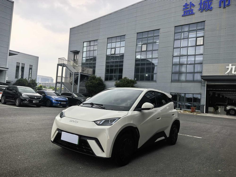 BYD Seagull