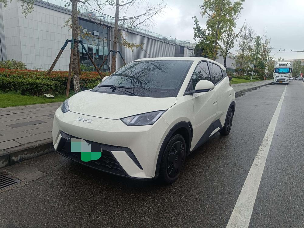 BYD Seagull